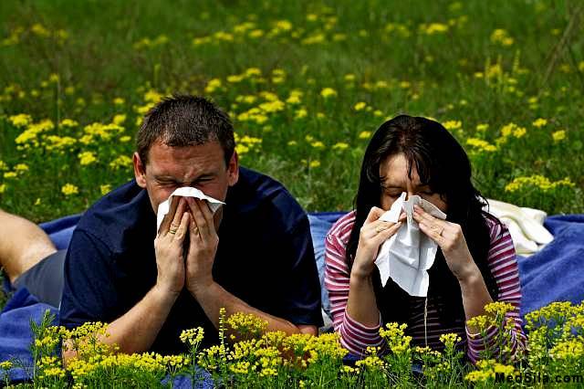 аллергия на растения